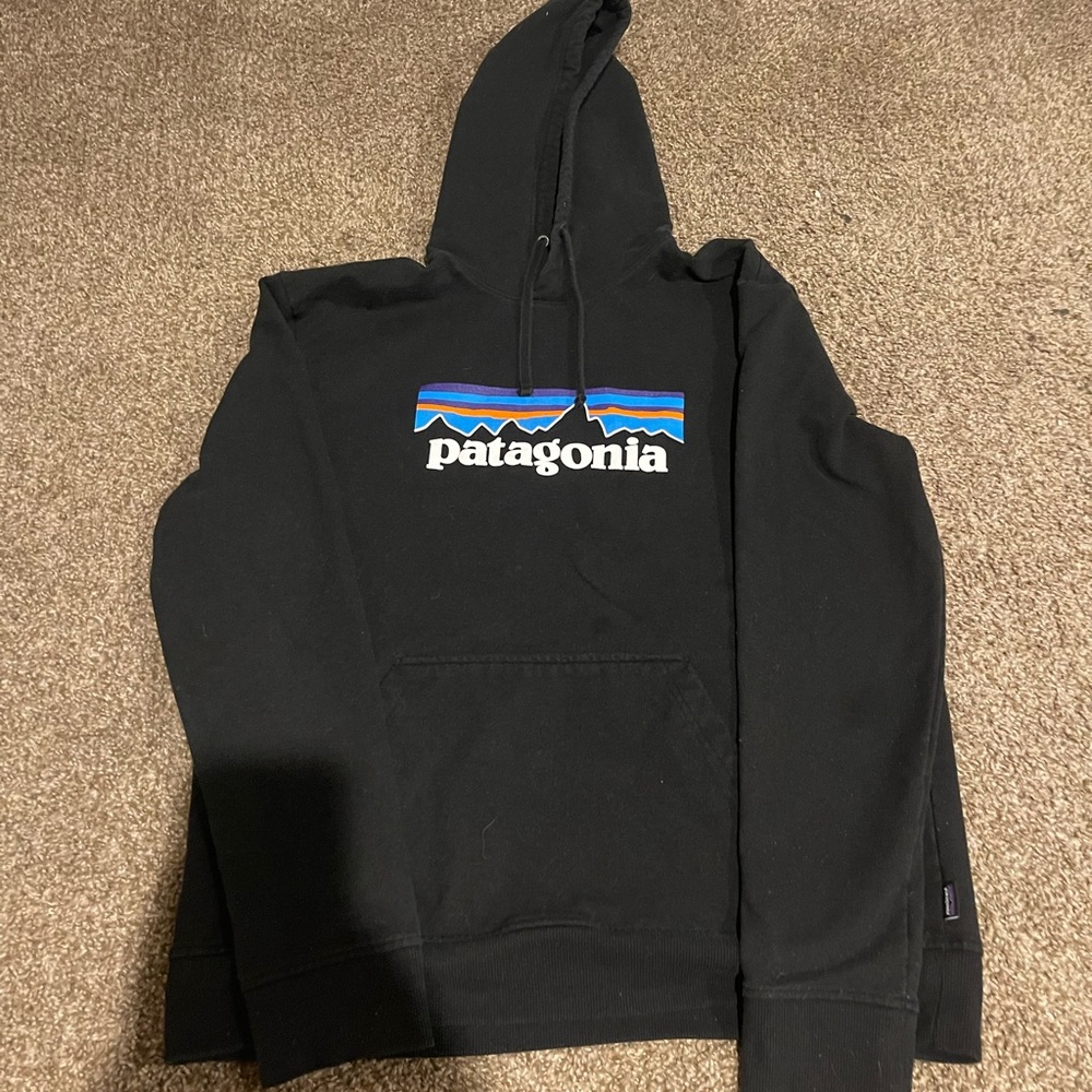 Men’s Patagonia hoodie